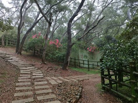 客雅山|[新竹市區][三]山頂山、印斗山、客雅山